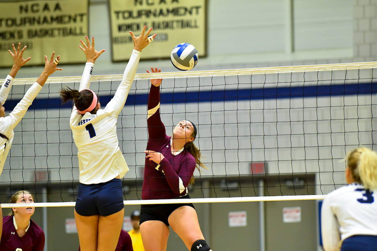 Wildcats Land Falcons 3-1 in Women’s Volleyball Action