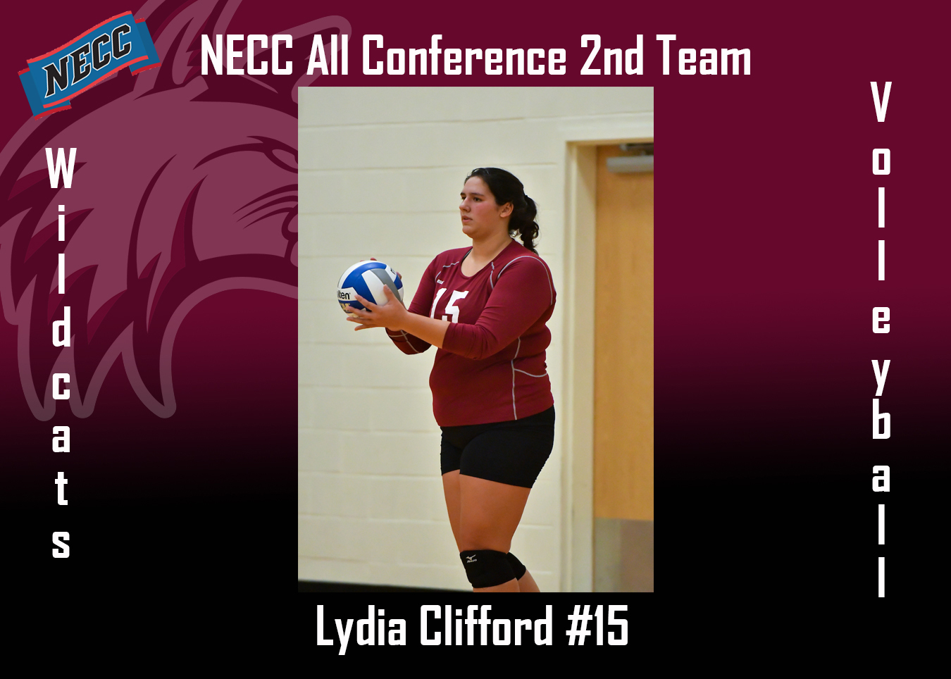 Clifford named to the 2018 NECC All-Conference 2nd Team