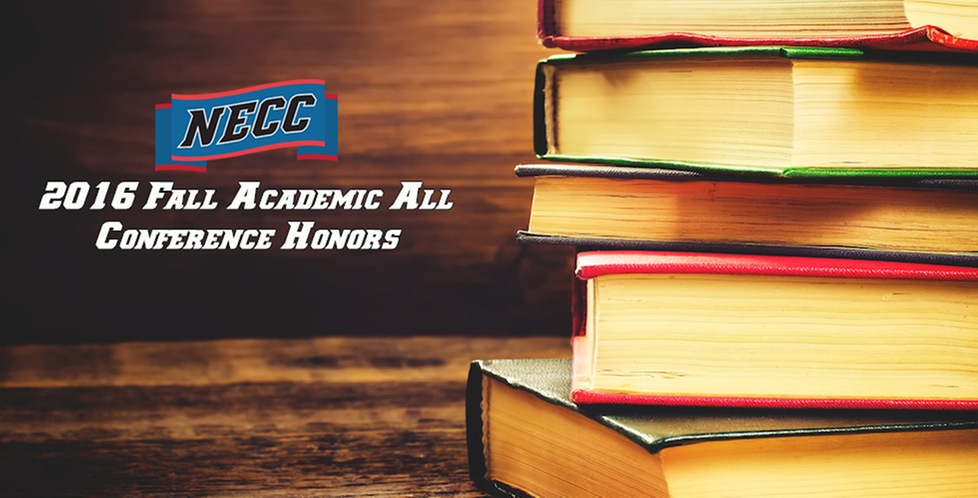 Bay Path University places 14 student-athletes on NECC All-Academic Honors for fall 2016.