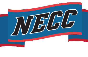 Bay Path Lacrosse receives NECC Conference Honors for Herring, Rubacha, Orrick and Tran