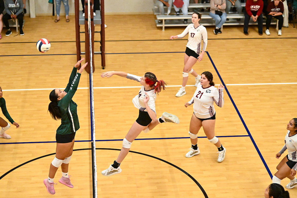 Bay Path Defeats Mass Maritime Academy 3-0 in Volleyball Action