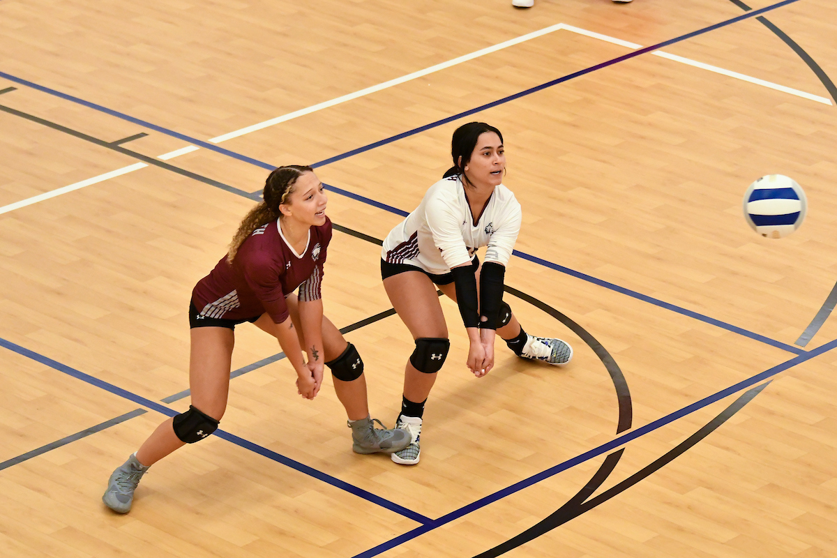 Wildcats Defeated in Tri-match by Clark & Elms