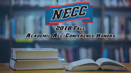 NECC Fall 2018 All-Academic Honors announced